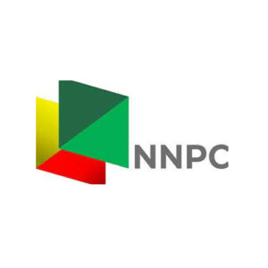 Partner 6